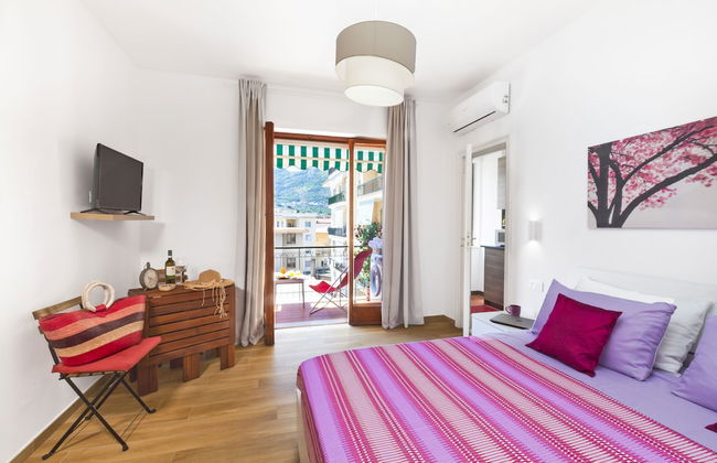 Sofia flora - Photo 12