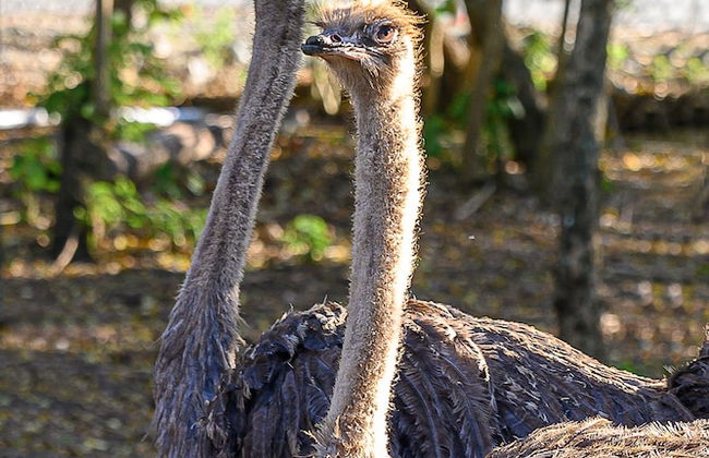 Hacienda La Huerta - Photo 29