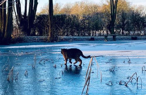 The BeeKeepers - Homely Luxurious Self Catering - Foto 72