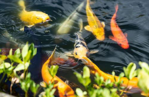 Stockser Hof - Photo 35