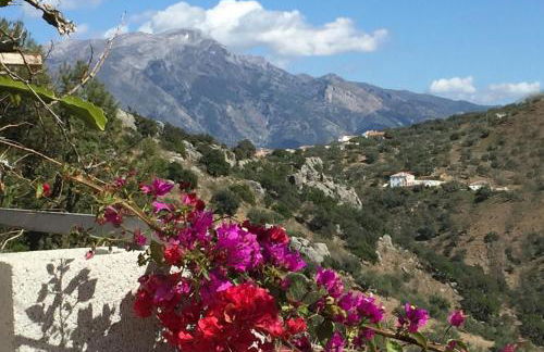 Loma Los Pelones 78 - Foto 1