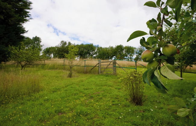 Tring Grange Cottage - Sleeps 2 - Onsite Parking - Foto 21