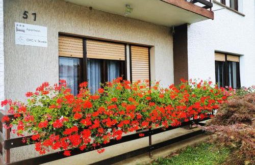 Apartman Škudar - Foto 22