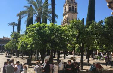 La Condesa de Vallellano - Foto 27