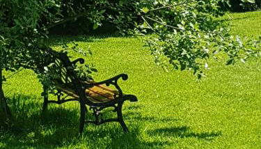 Ndila Cottage piscine privée - Foto 3, Garden