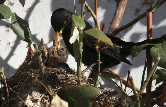 Apartment in Geiersthal - Foto 14