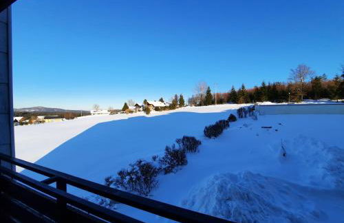 Appartement 13 im Haus Dreisessel - Foto 20