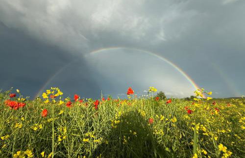 Serenity Garden Villas - Polanica-Zdrój - Foto 56