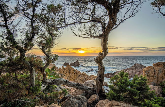 Hotel Costa Paradiso - Foto 46