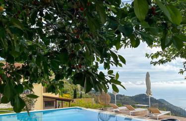 Carmel Villas - Photo 34