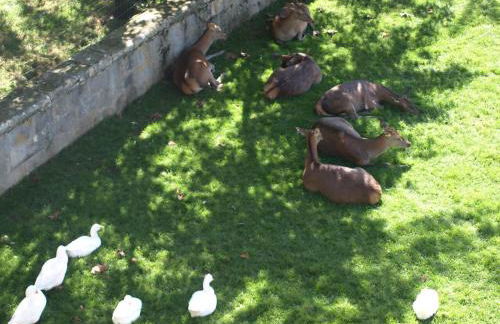 Apartamento Larraina - Photo 19