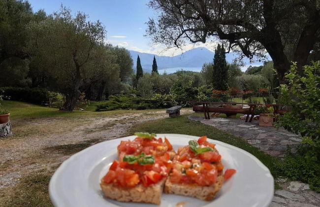 Pie' d'Ulivo - Foto 26