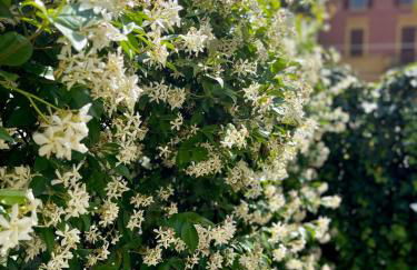 Minimal Chic House Parking and Private garden - Foto 6