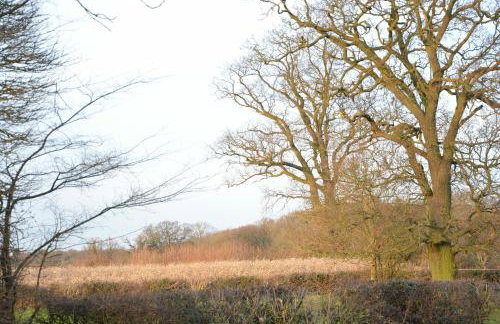 Red Robin, Whepstead - Foto 8