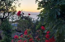 Panorama Studio - Foto 28