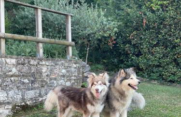 Maison en Pierre - Foto 43