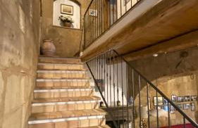 Il Vento e la Ginestra - Foto 8