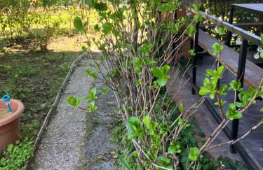 Villa Herrero - Foto 50