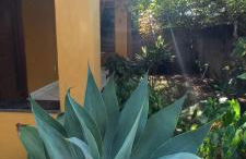 Casa espaçosa para o Carnaval - Foto 10