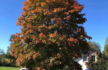 Traumhafte Auszeit direkt am Nürburgring - Foto 21