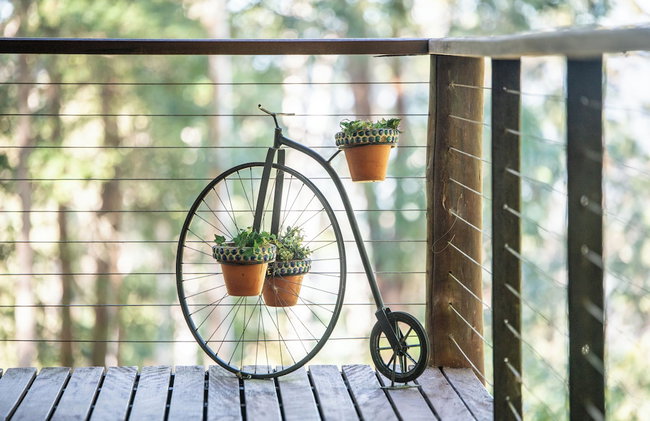 Kanimbia Cottages - Foto 69