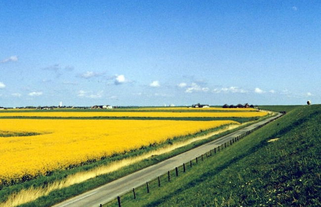 Baudewig Modern Retreat - Foto 10