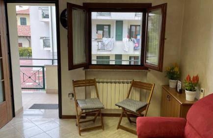 Rose e Frutta - Yellow Daisy - Foto 7