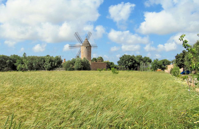 Moli de Son Vidal - Foto 45