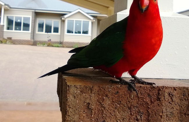 Marysville Garden Cottages - Photo 73