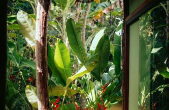 Boutique Beach Chalet, Luzimares, Serra Grande-BA - Foto 31