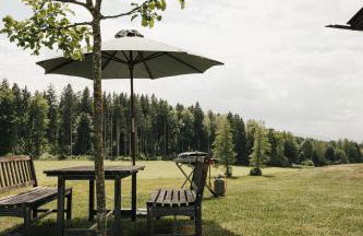 Chalet Zugspitze, Kamin, Tiere - Foto 19