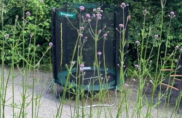 BergOase-Apart am Feldberg - Foto 70