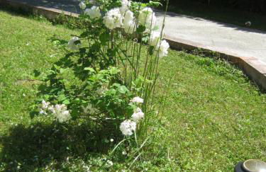 Grand appartement dans villa avec parking quartier résidentiel - Foto 16