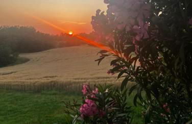 Himmelthal Apartment - Foto 16