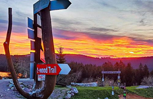 Ferienhaus Am Kirchberg - Foto 5