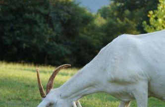 Agriturismo Chioi - Foto 10