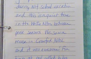 FC44 Renovated 3bed 3bath Forest Cottage AC views yard fast wifi Walk to skiing - Foto 41