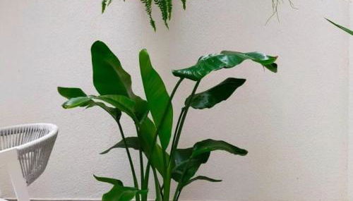 Alojamiento Beach Riazor - Foto 4