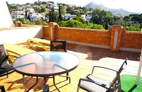 Flamencos del cerrado - Photo 70