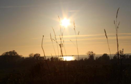 Agroturystyka Pod Kogutkiem - Foto 1