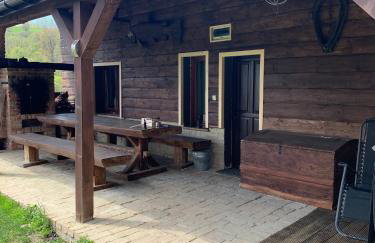 Bieszczadzka Sielanka - Foto 24