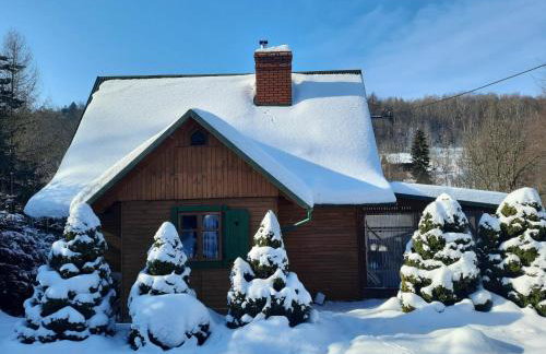 Parisowka w Wielkim Lesie - Foto 16