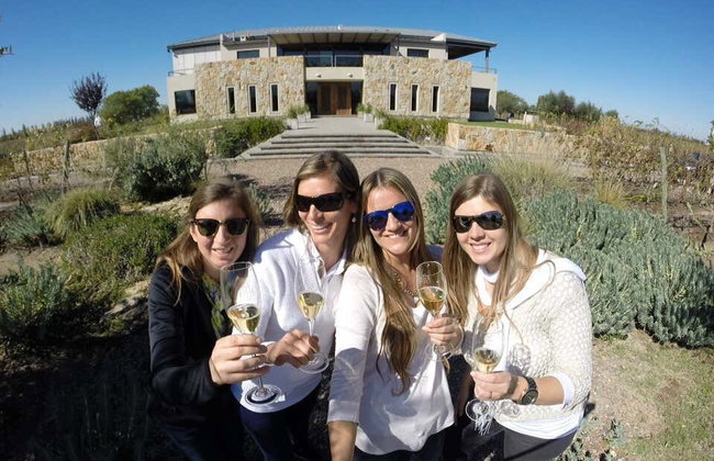 Tour por la zona vitivinícola del Camino del Vino El Sol - Foto 10