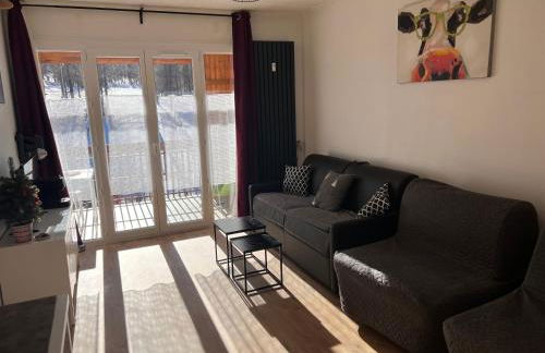 Christiana studios en hyper centre de Valberg aux pieds des pistes - Foto 8