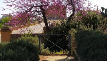 Atena Apartments nr 1 - Foto 5, Garden