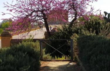 Atena Apartments nr 1 - Foto 5