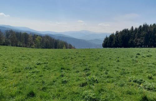 Borówkowa Dolina - Foto 26