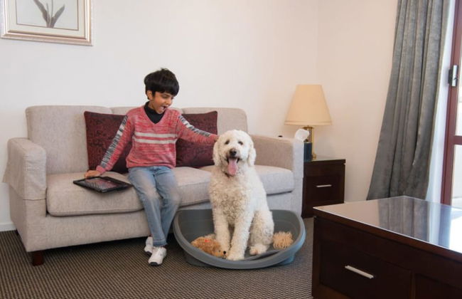 Fino Hotel and Suites - Foto 15