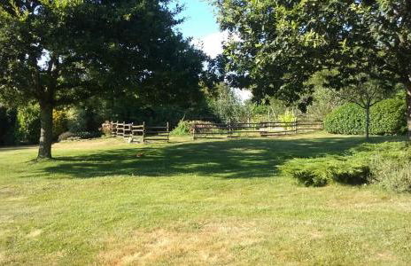 La Glycine - Foto 18