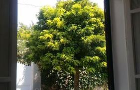 Villa delle Muse - Foto 19